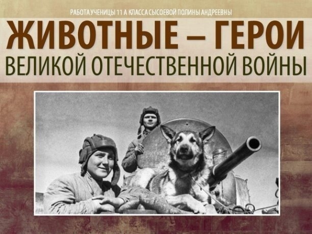 Животные - герои ВОВ Животные - герои ВОВ.
